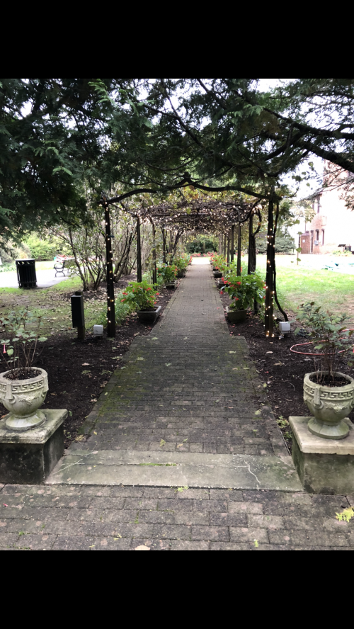 10:21:56 GMT-0500 (EST).image