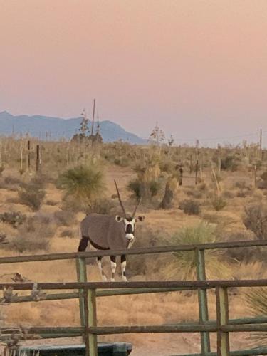 13:12:30 GMT-0700 (MST)