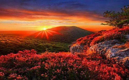 09:30:29 GMT-0600 (CST)