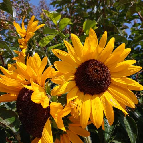 23:31:48 GMT-0800 (PST)