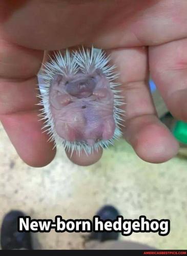 06:01:57 GMT-0600 (CST).image