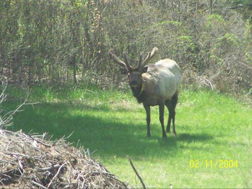 416775_367146626642740_1760569121_n_367146626642740