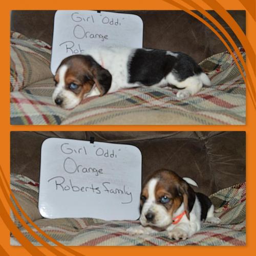 101373005_858808254625421_6500348125352296448_o