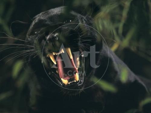 02:23:00 GMT-0800 (PST).image