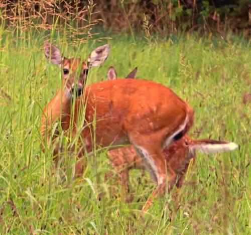 21:29:11 GMT-0600 (CST)