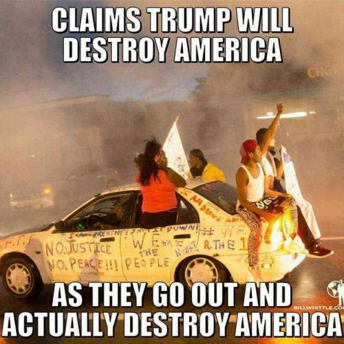 20:00:15 GMT-0500 (EST).image