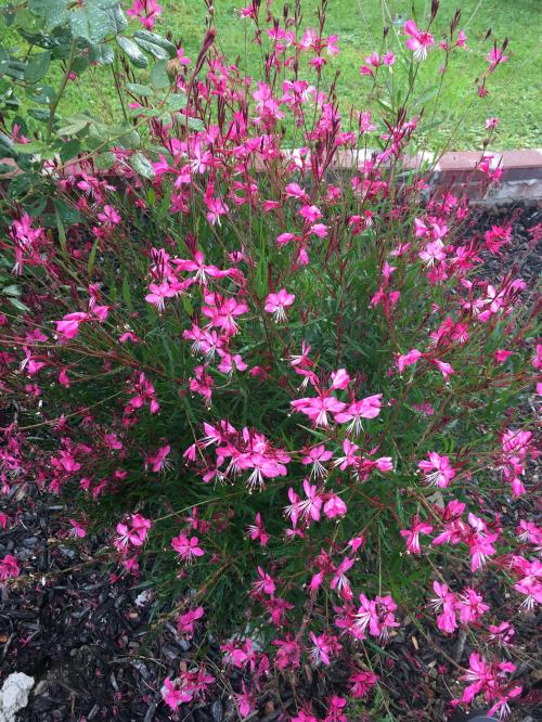 19:37:35 GMT-0500 (EST).image