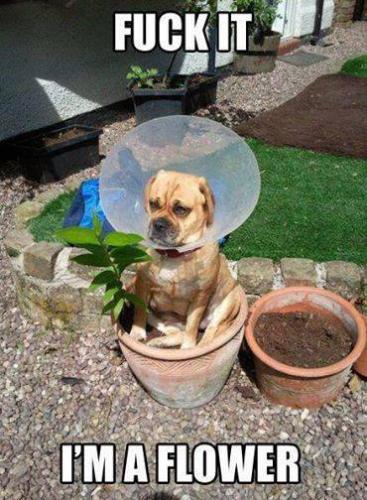 23622246_1867993296864133_6534032297665033170_n