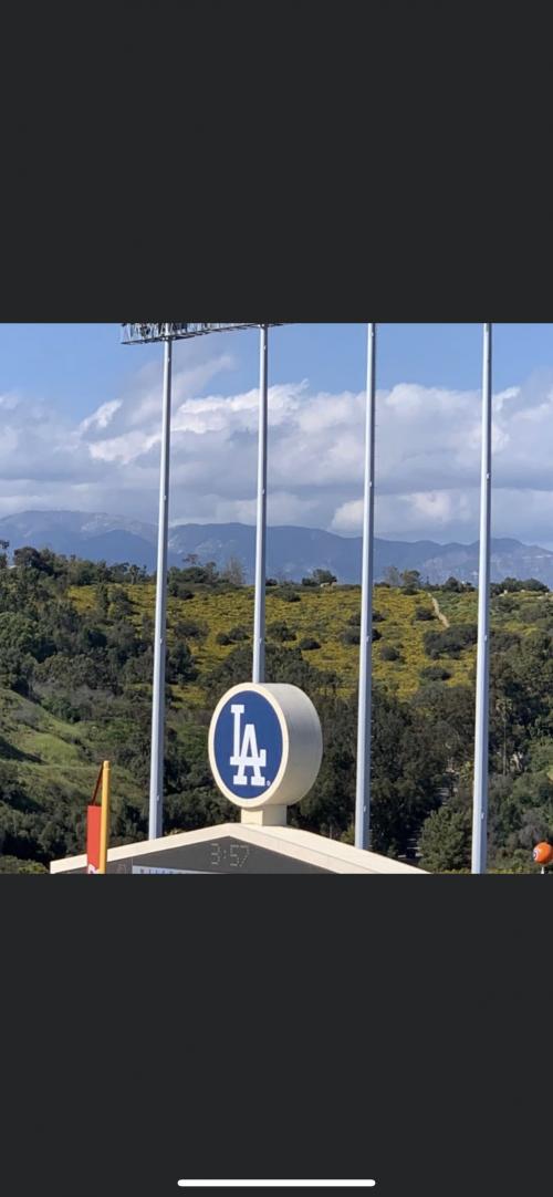 13:31:41 GMT-0600 (CST).image