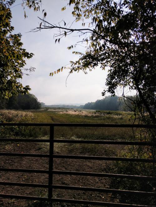 09:23:45 GMT-0500 (EST)