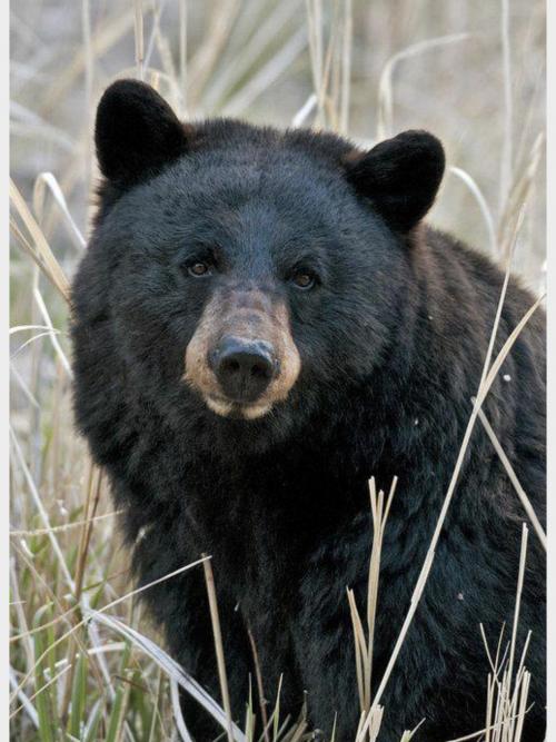 16:37:51 GMT-0500 (EST).image