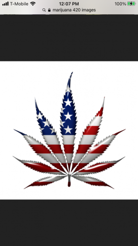 30A4852B-B72B-49F3-874E-3B2C89D4419F