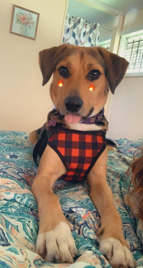 1827DED3-8E05-482D-9811-F9FAB8720468