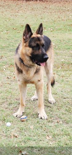 09:39:01 GMT-0600 (CST)