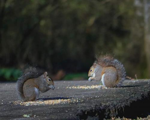 09:51:03 GMT-0600 (CST)