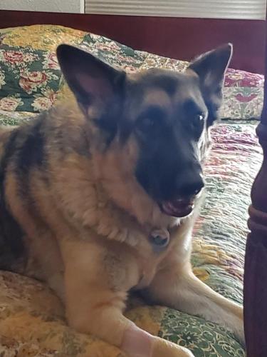 07:00:17 GMT-0700 (MST)