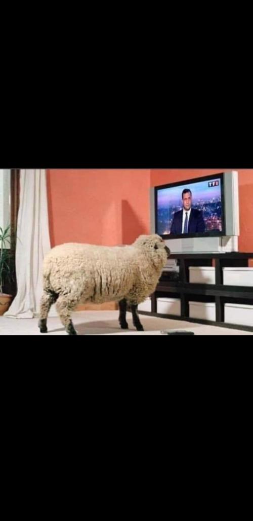 Screenshot_20200906-200756_Facebook