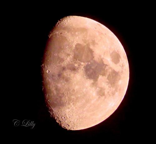 Waxing gibbous moon