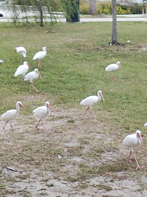 07:08:56 GMT-0500 (EST)