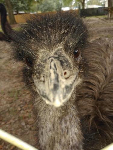 01:45:09 GMT-0600 (CST)