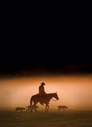 126154183_368357900910154_8489960909672243986_n