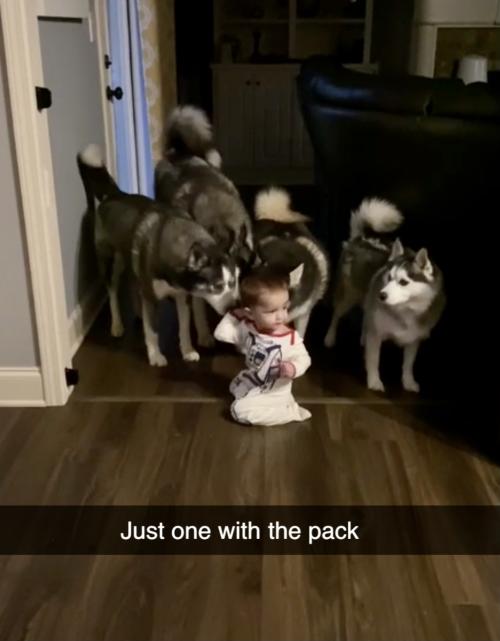 08:38:17 GMT-0600 (CST).image