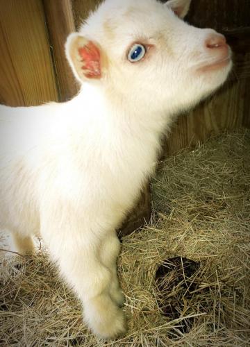 21:33:48 GMT-0600 (CST)