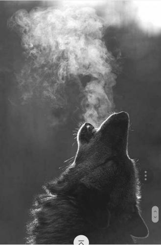 Screenshot_2017-11-24-05-54-46-1