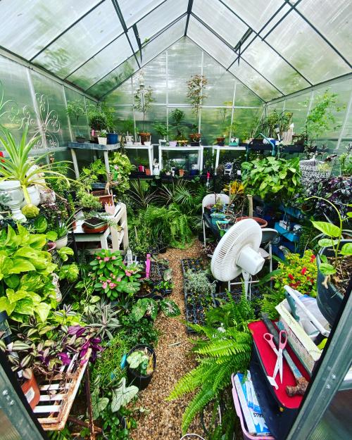 13:27:46 GMT-0600 (CST).image