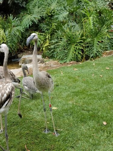 15:30:07 GMT-0800 (PST)