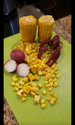 21:31:08 GMT-0600 (CST)