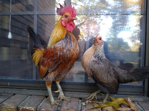 14:05:27 GMT-0600 (CST)