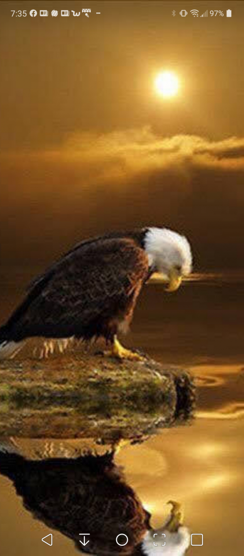 22:12:30 GMT-0600 (CST).png