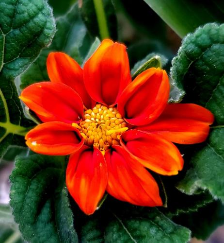 15:18:05 GMT-0800 (PST)