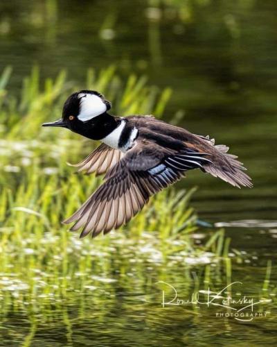 127910509_2244118049064919_8445232155893682786_n