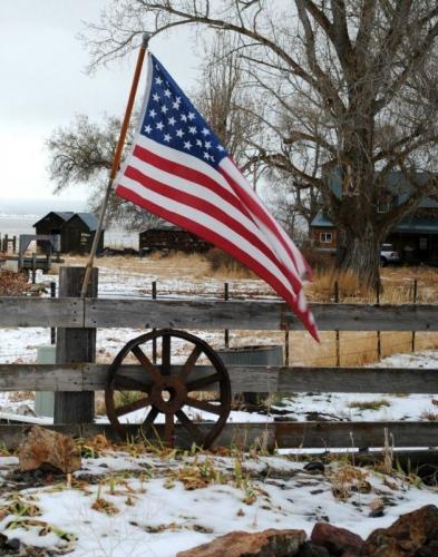 b02993864e369c9b69533d8487266446