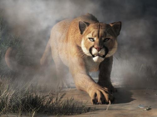 19030451_1833101196703673_1909221687404790749_n