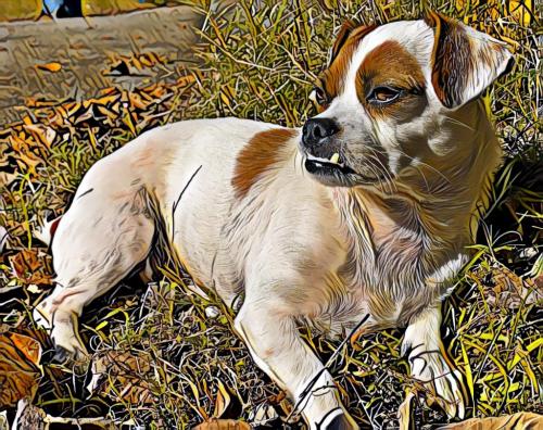 20:49:58 GMT-0600 (CST).image