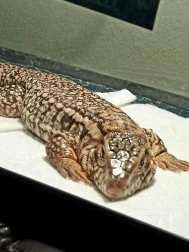 06:04:11 GMT-0500 (EST)