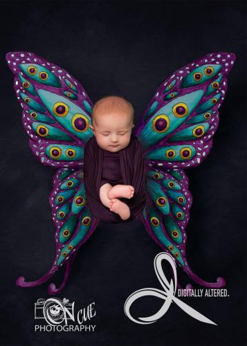 Lura Butterfly