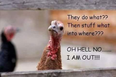 19:55:19 GMT-0500 (EST).image