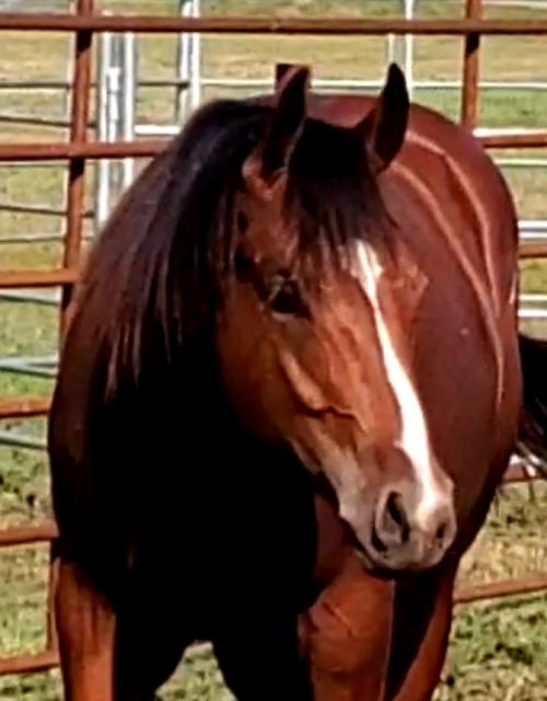 15:09:55 GMT-0600 (CST)