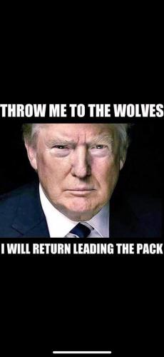 19:49:47 GMT-0500 (EST)