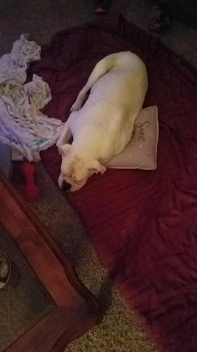 16:25:02 GMT-0600 (CST)