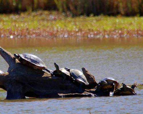 21:29:11 GMT-0600 (CST)