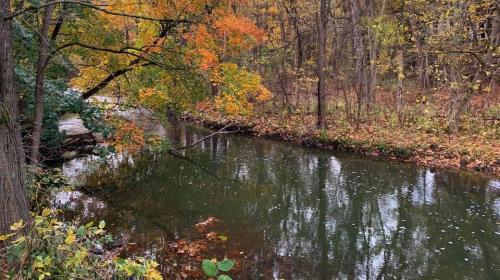 09:09:46 GMT-0500 (EST).image