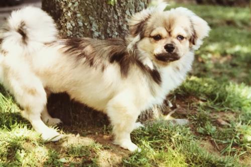 16:23:53 GMT-0600 (CST).image