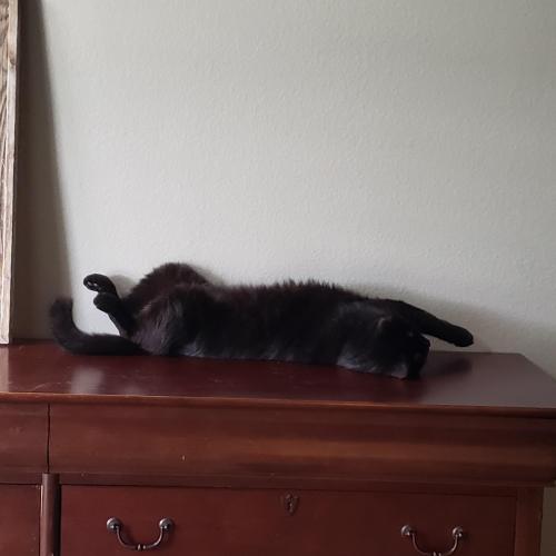 20200514_140815 (002)