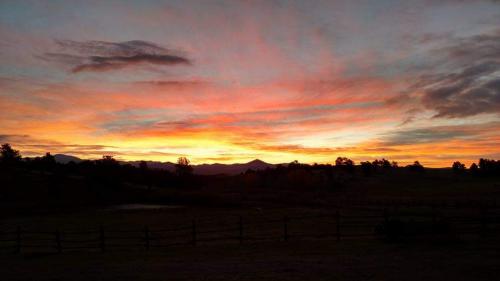 FB_IMG_1605033334752