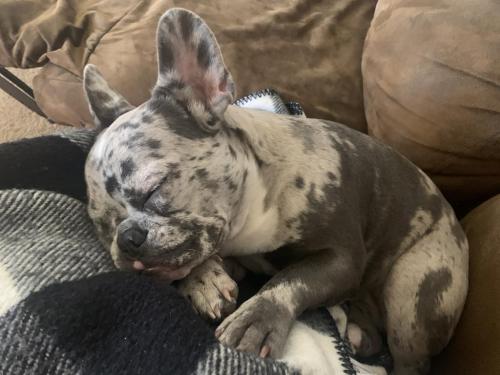 787515AB-25F0-4A4B-8D7F-F0BEC7B0A949